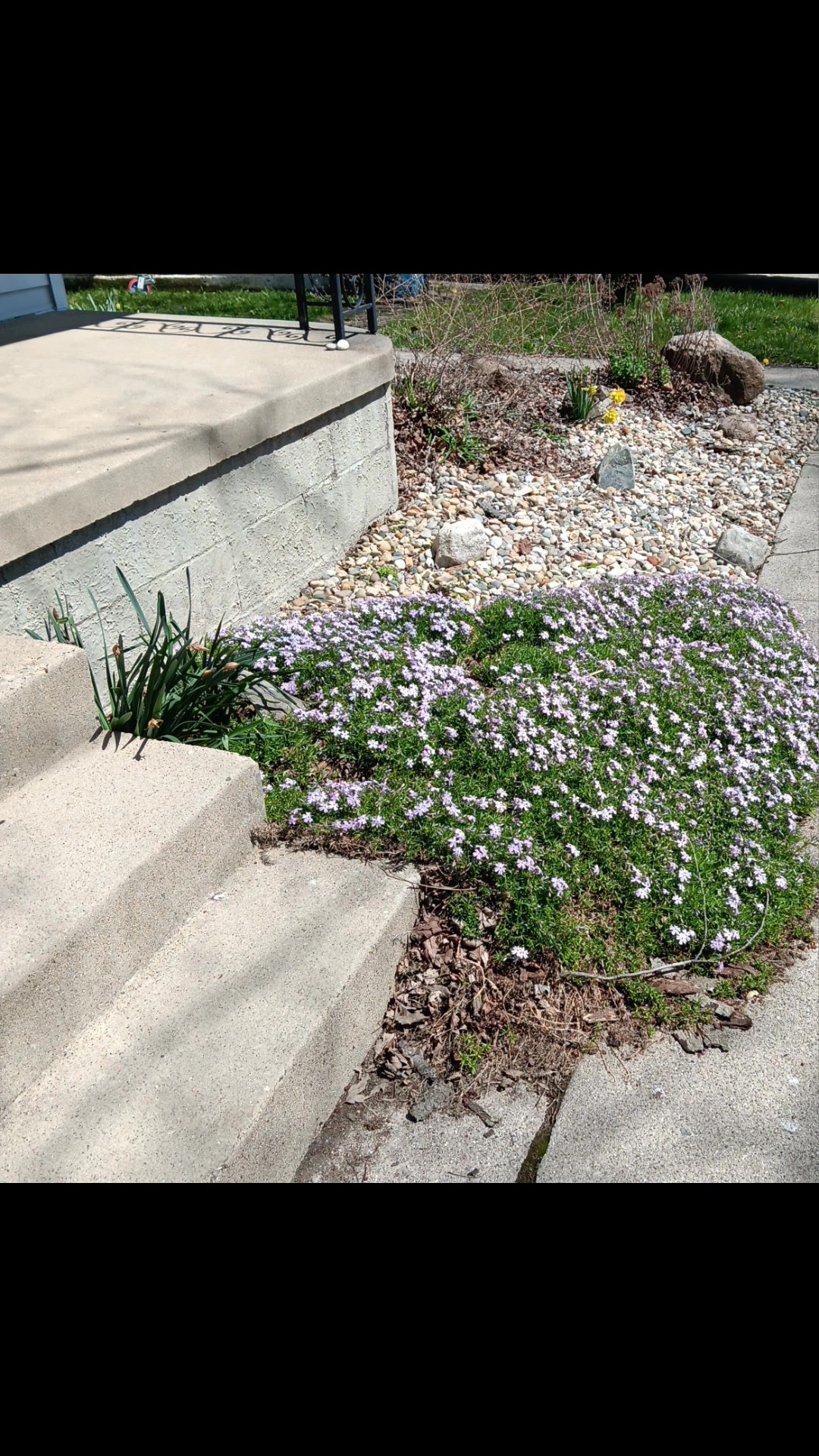 Wabash County Habitat for Humanity